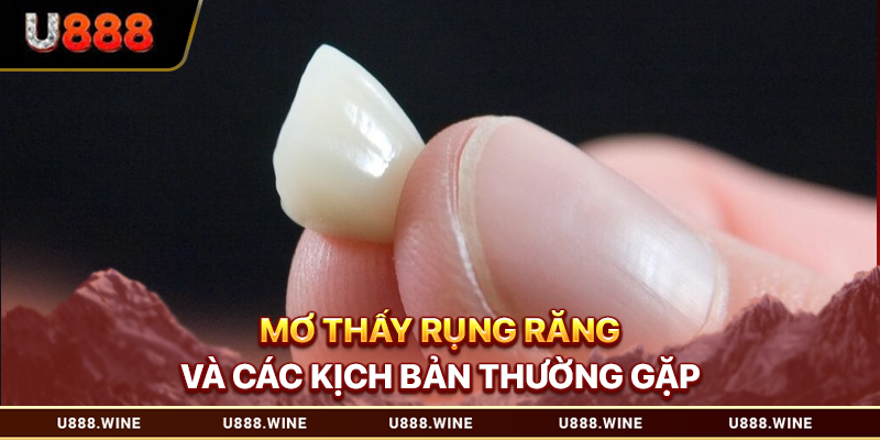 Mơ Thấy Rụng Răng Và Những Dữ Liệu Giải Mã Chi Tiết 2026 Mơ thấy rụng răng và các kịch bản thường gặp